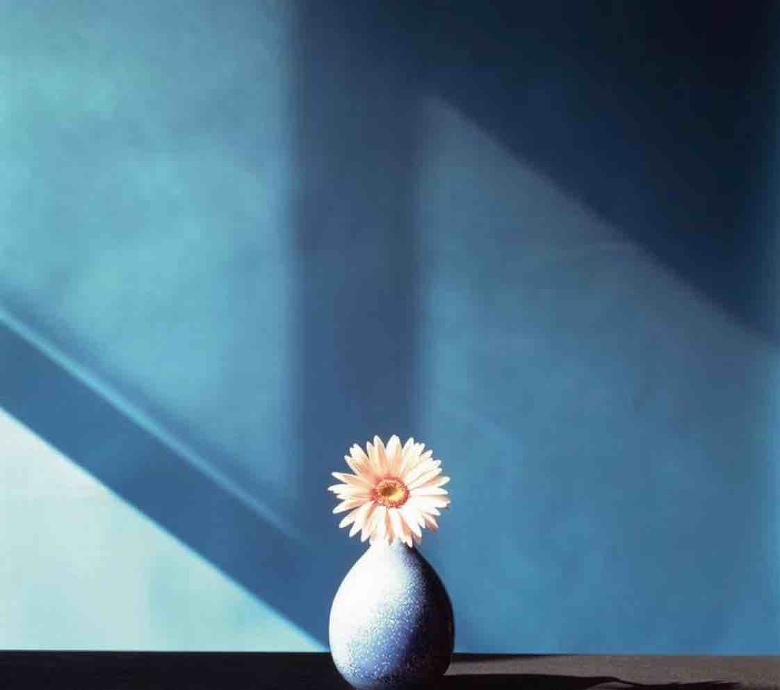 韩晓蓁