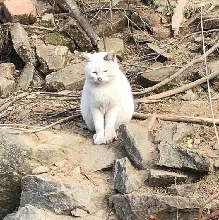 妈妈叫我不要乱跑