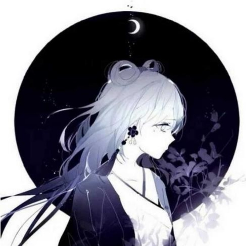 暗夜.月影