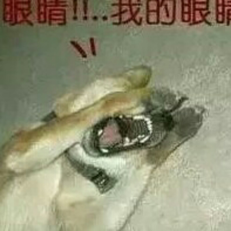 。，。，…