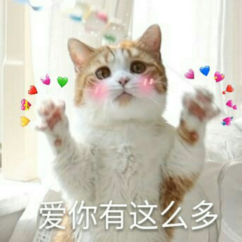 人民的好闺女
