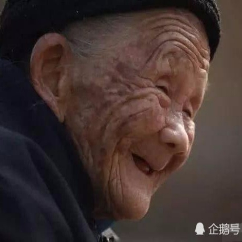书虫