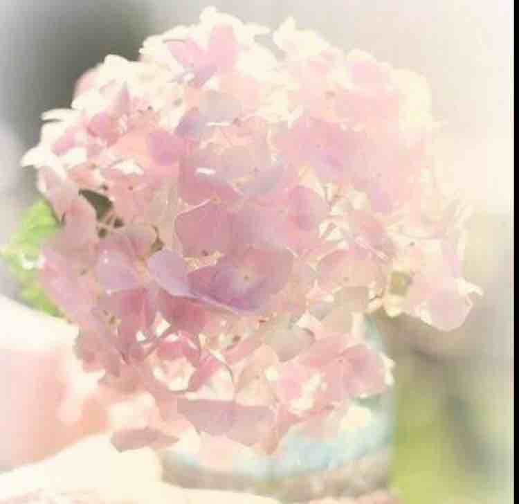 荼一