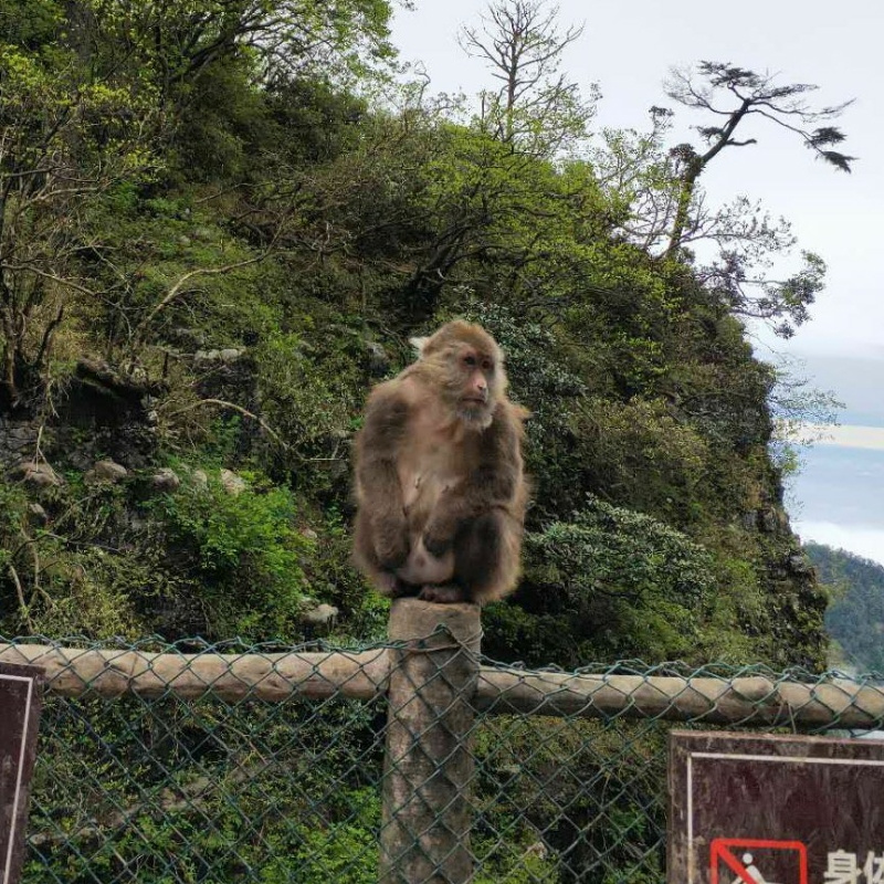 尖人