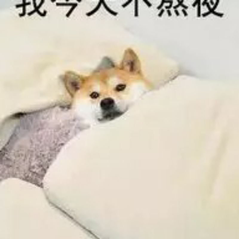 小仙女的地精
