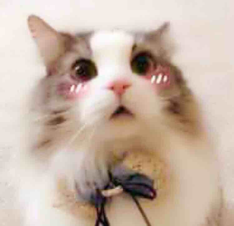 故十方