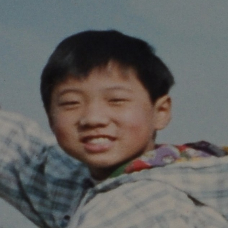 中华田园犬