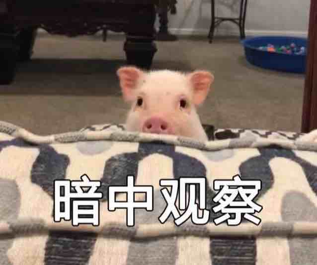 折伦妹妹