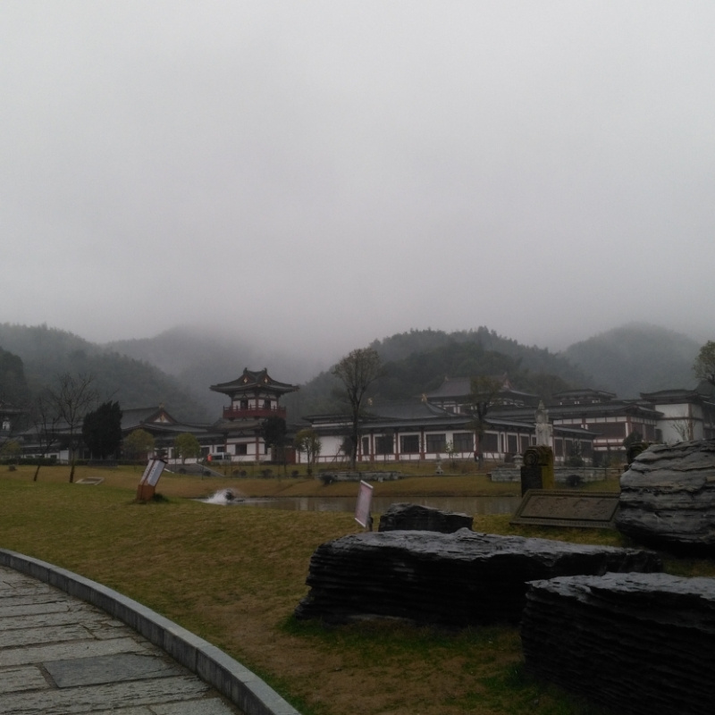 热带雨林