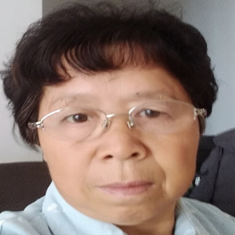 老高大嫂