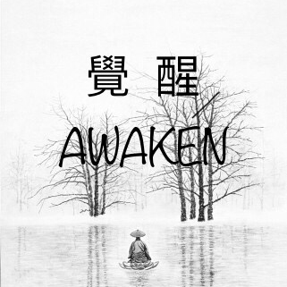 觉醒awaken