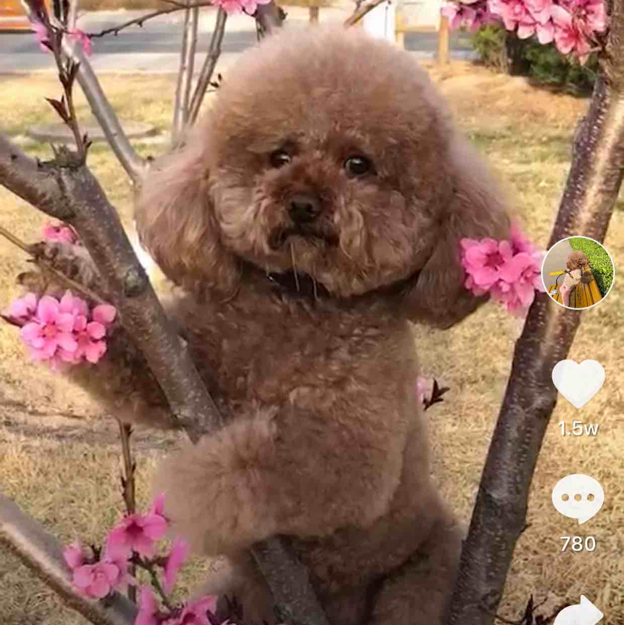 夜销魂、