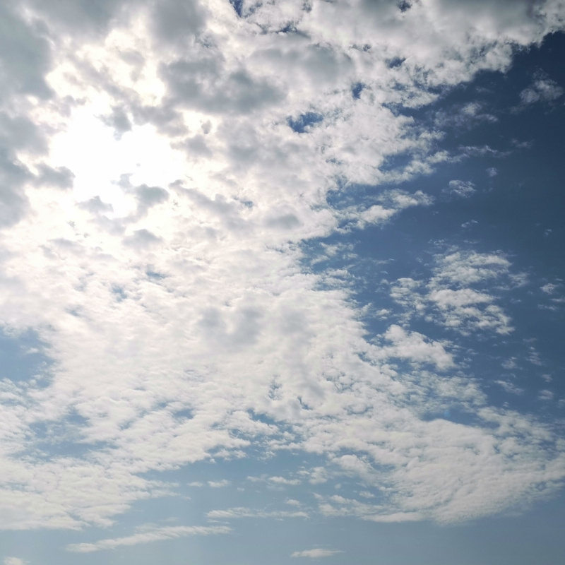 無丶心