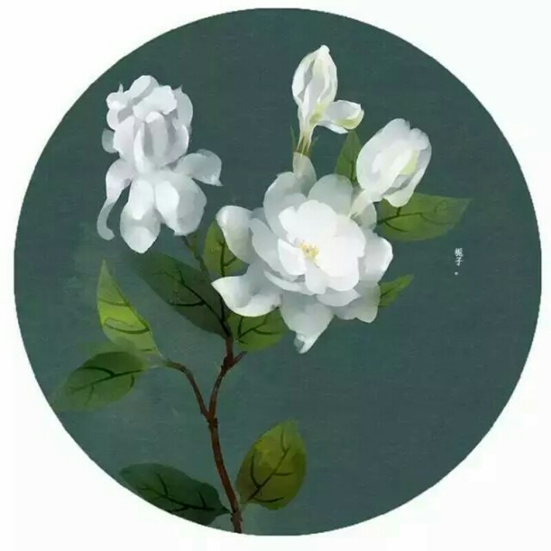 独语芳菲6930