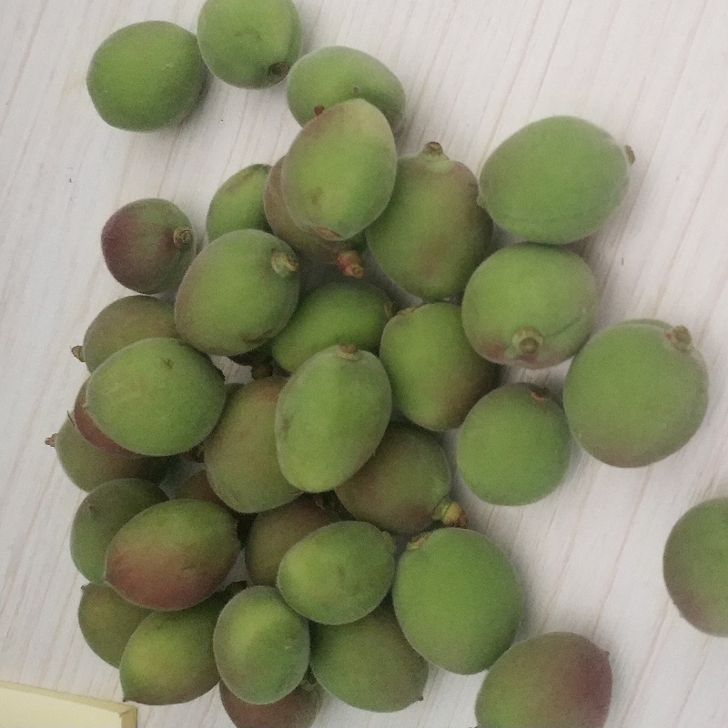鑫小备