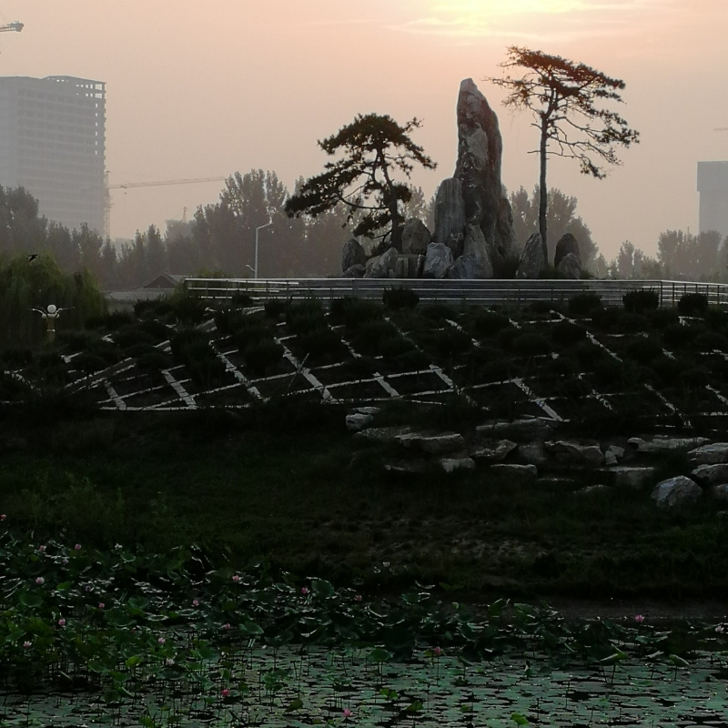 禅书铭心@