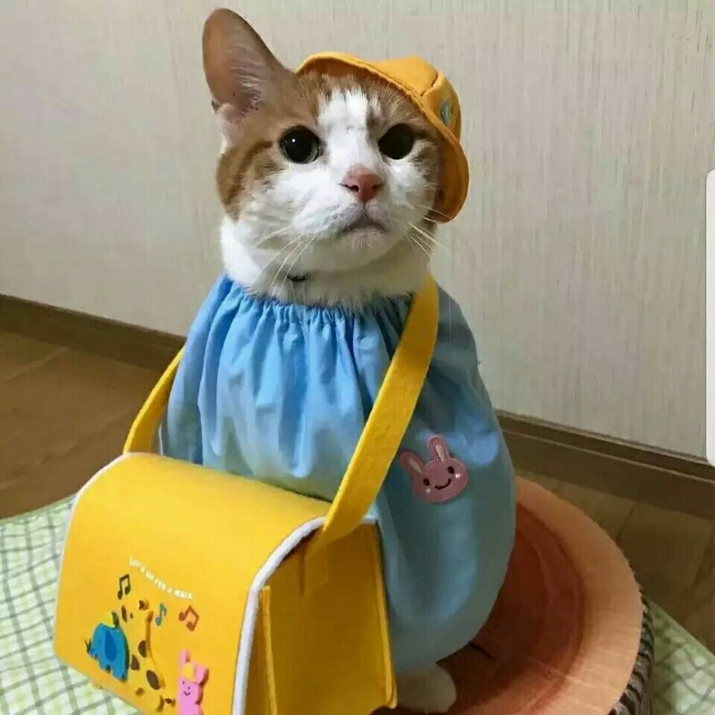 不要好奇