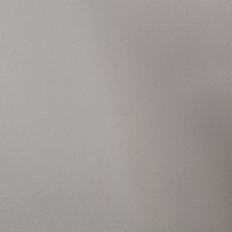 白白白的小白