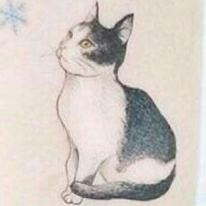 夏宁1