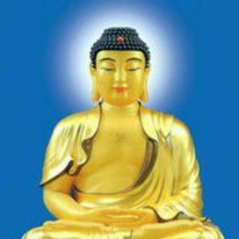 十年苦禅