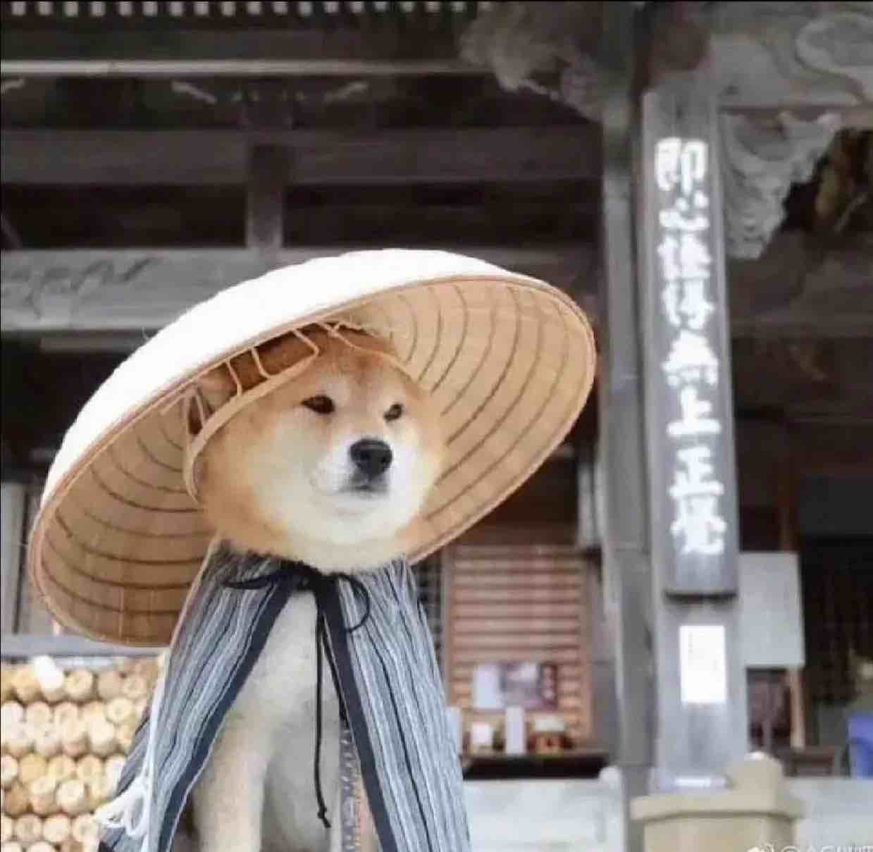 方弈爱学习