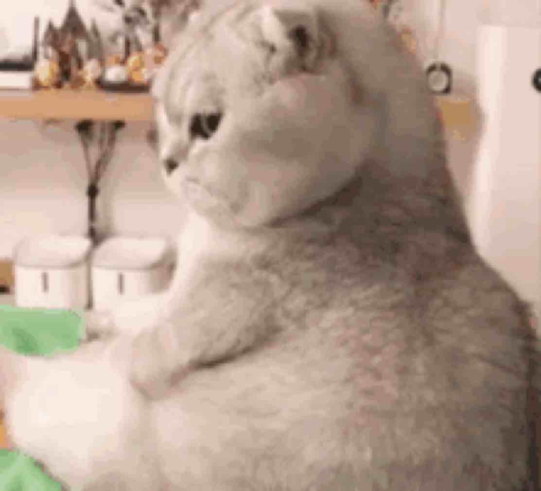 我就是我丫