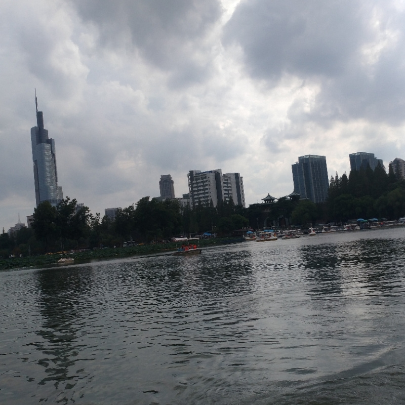 我只爱听书