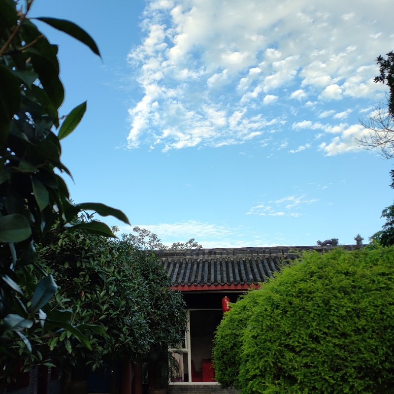 广之林林