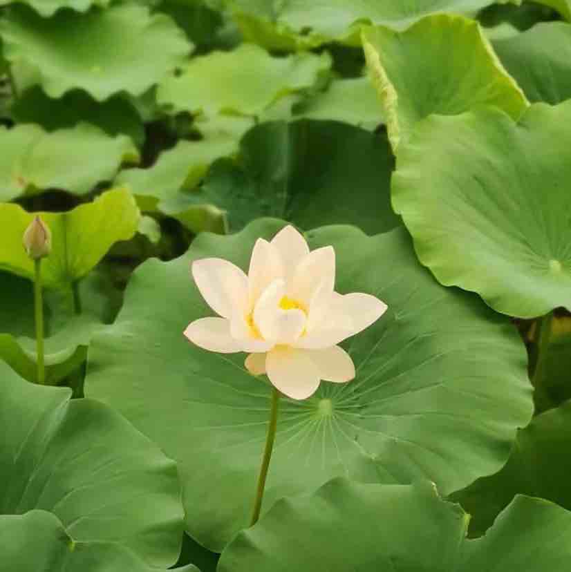 我是如此