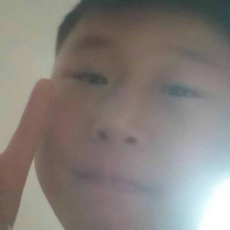 老虎