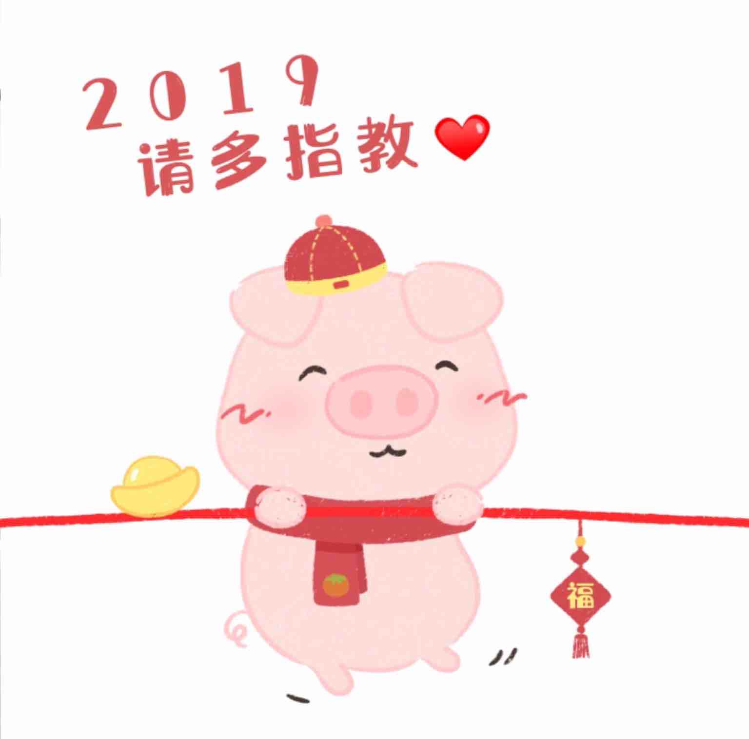 小油桐