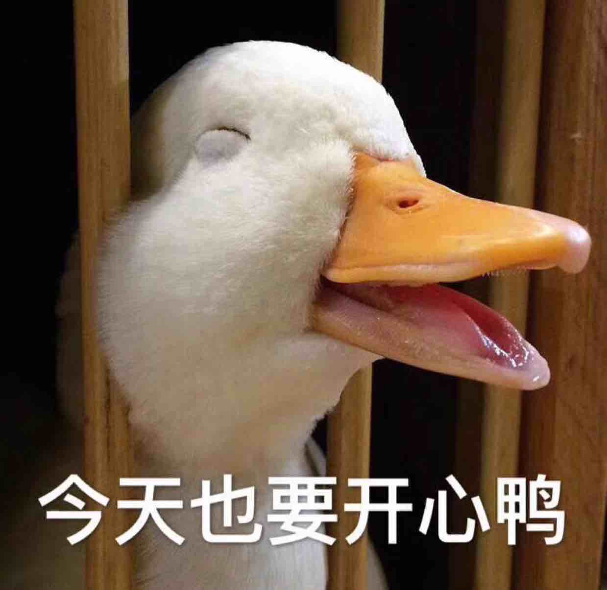 辣条ω