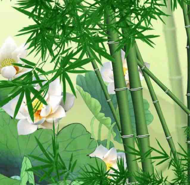 那就这样吧999