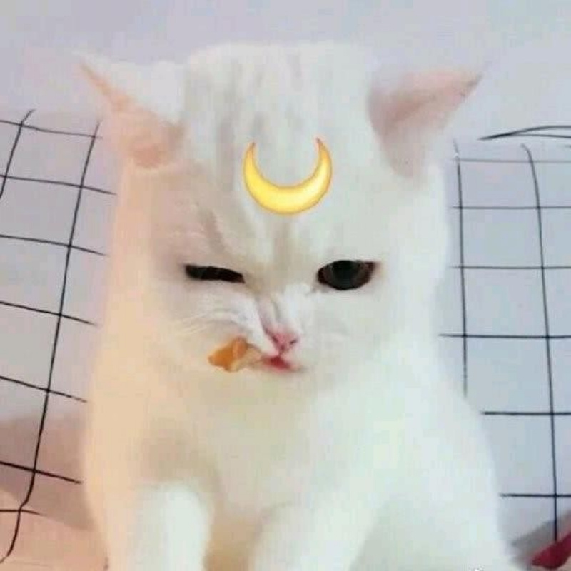 脑子里养着鱼