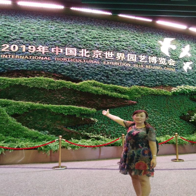 凤梅