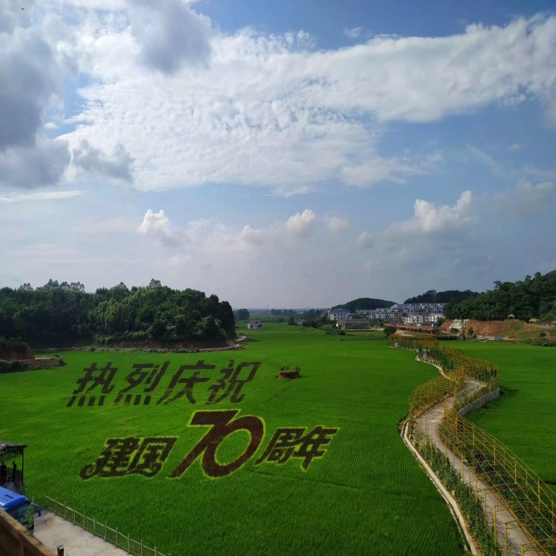 行者无疆