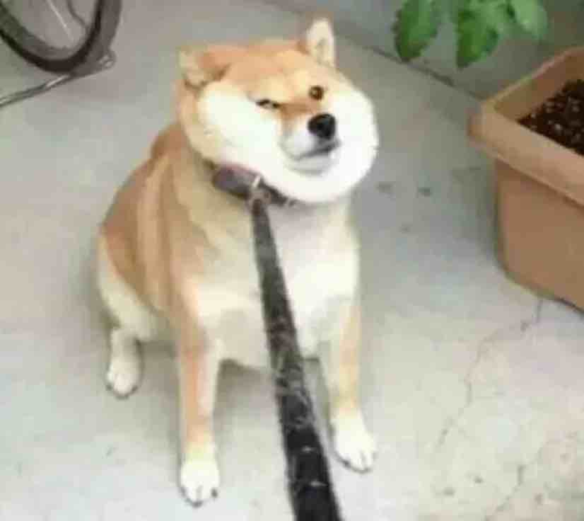 独二无三、