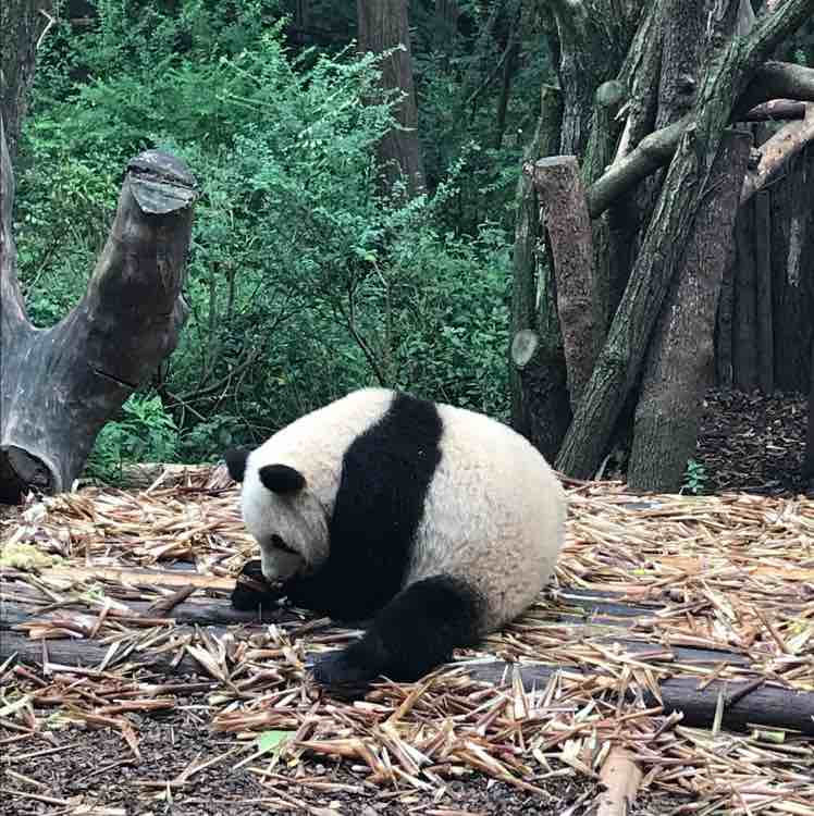 心灵成长记