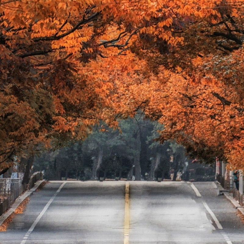 &好&