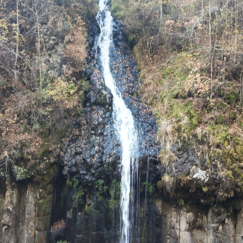 奇骏坚持郑