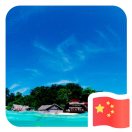 八两金大气运