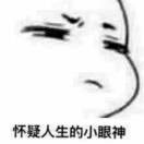 骑猪上高速