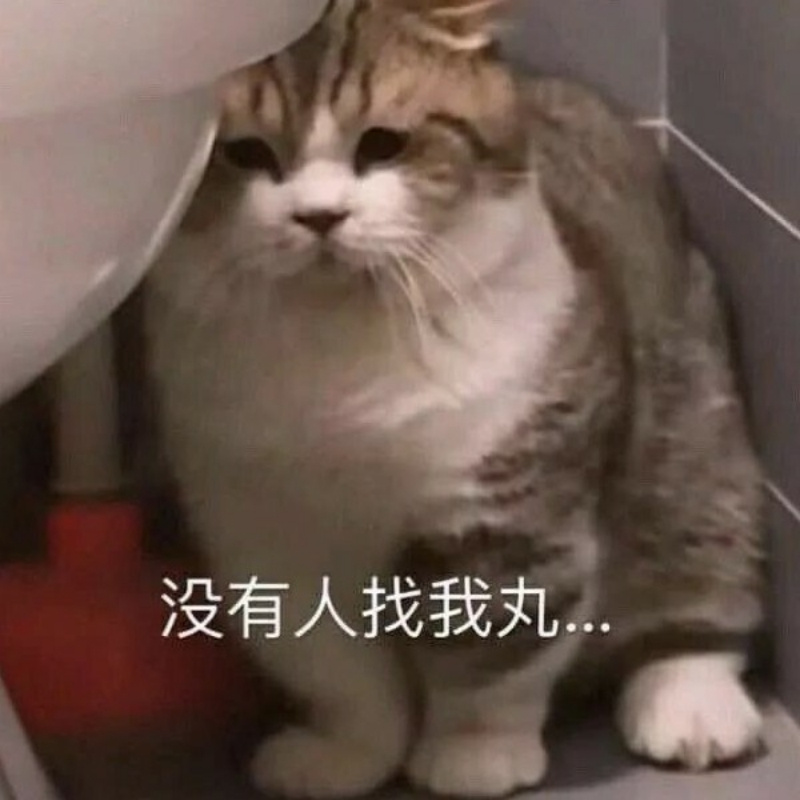 鳄鱼思密达