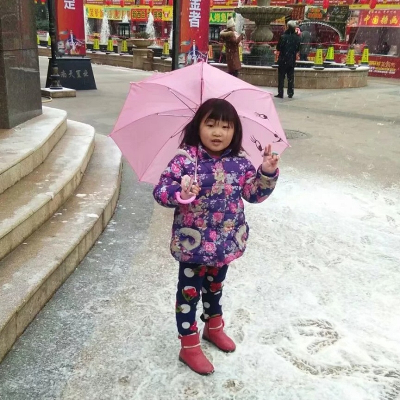 鸿鸿@