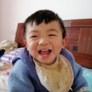 池子家的迷走兔