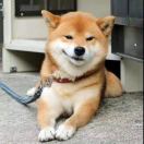 kelvin（阿K）