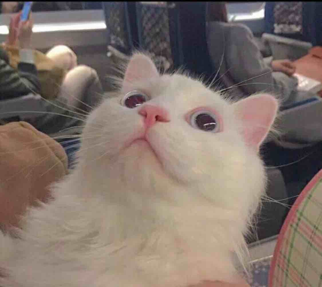 季恩.