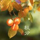 小花