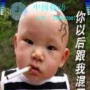月影