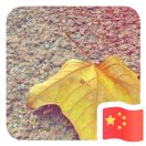 冬冬的大树